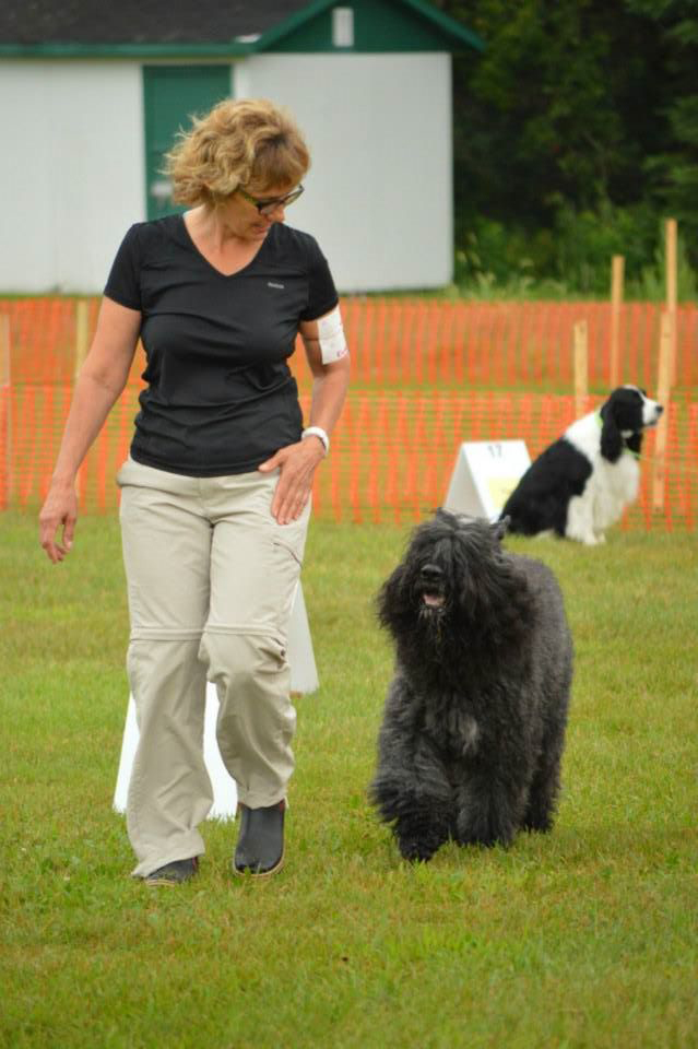 Truffe Noire Bouvier